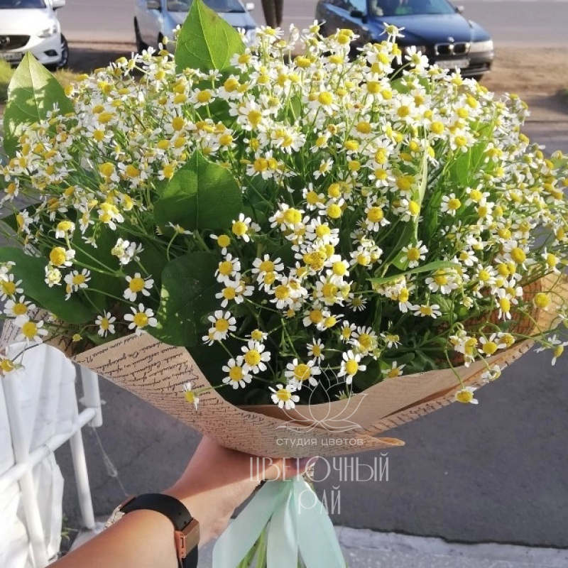 Букет ромашка